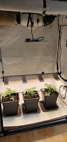 Growreport Bild 1
