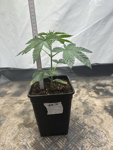 Growreport Bild 22