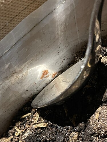 Growreport Bild 1