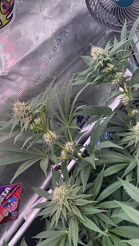 Growreport Bild 12