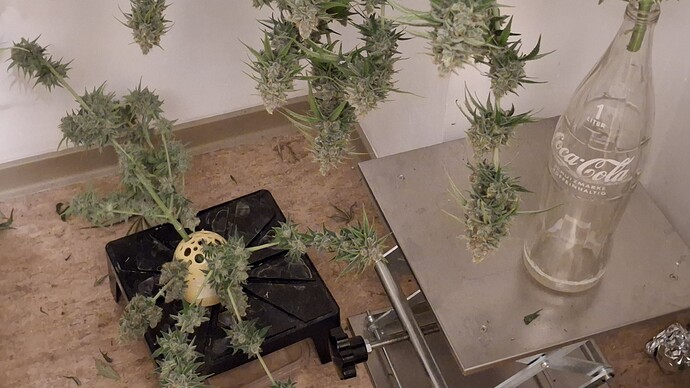 Growreport Bild 4