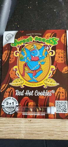 6f878aff-5118-4b77-80a3-60e122b6ed4a