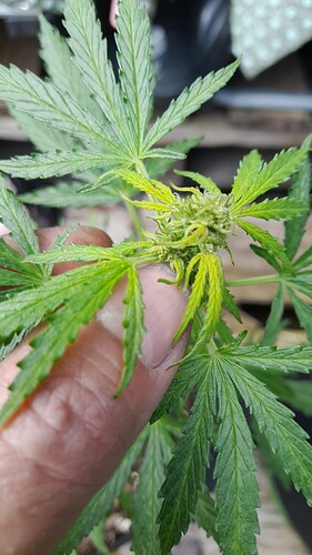 Growreport Bild 23