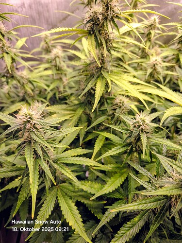 Growreport Bild 11