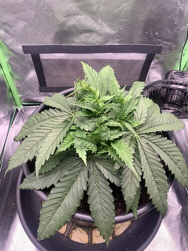 Growreport Bild 18