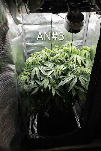 Growreport Bild 15