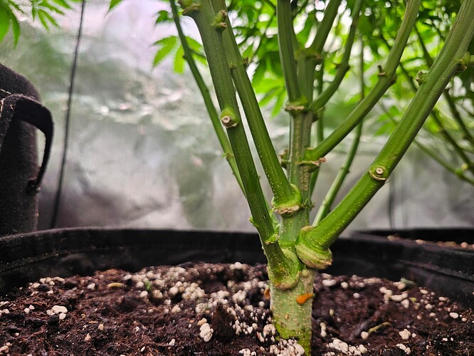 Growreport Bild 16