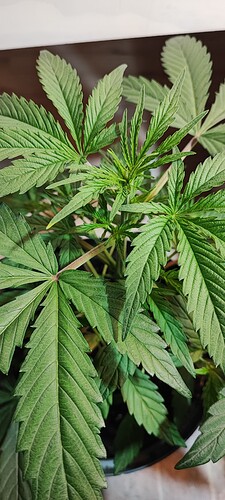 Growreport Bild 16
