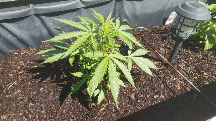 Growreport Bild 6