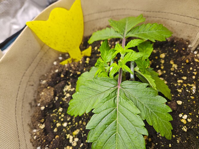 Growreport Bild 26