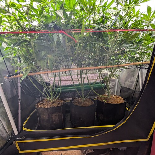 Growreport Bild 6