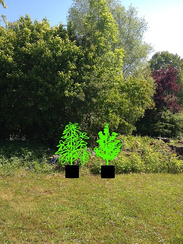 Grow25_0526_05