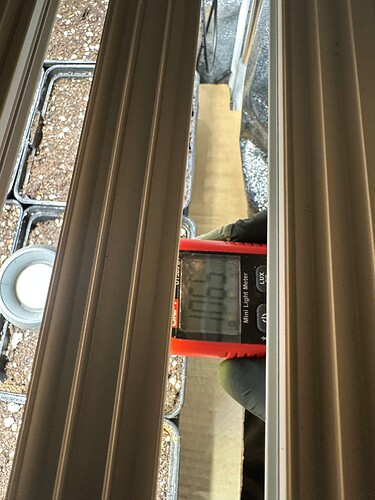 Growreport Bild 55