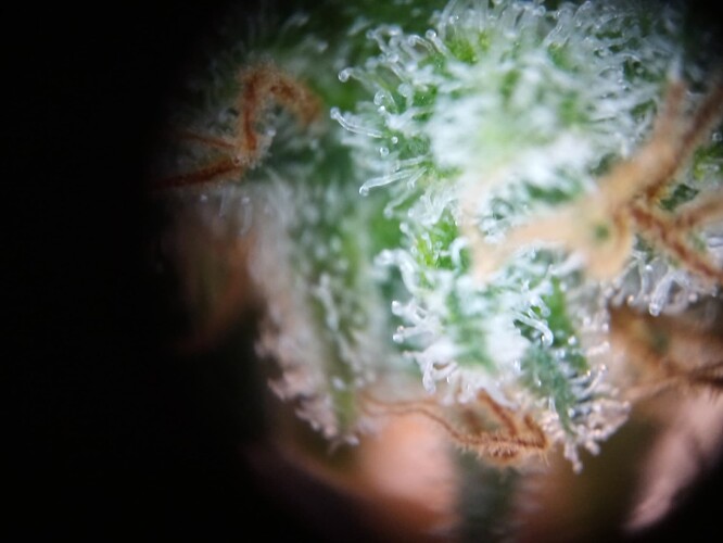 Growreport Bild 21