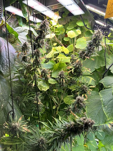 Growreport Bild 9