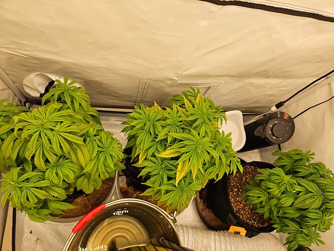 Growreport Bild 4