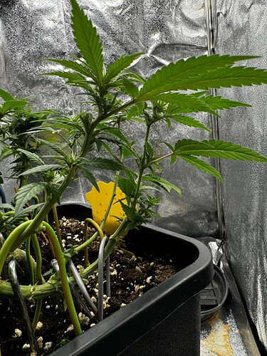 20240630_100303122_iOS