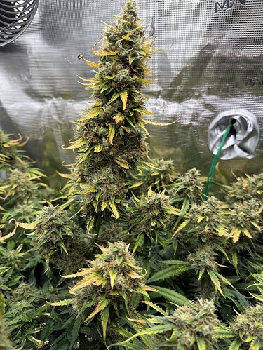Growreport Bild 19