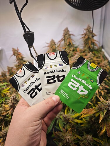 MVIMG_20251203_164134