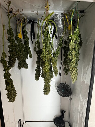 Growreport Bild 2