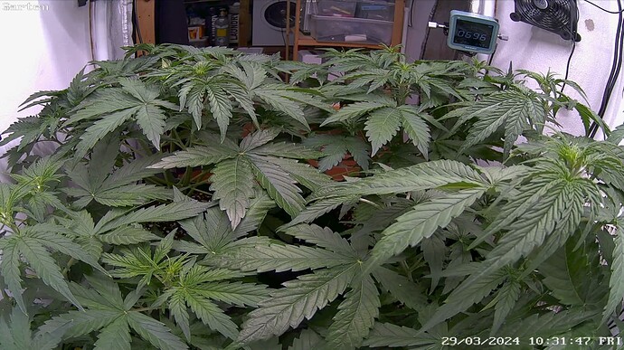 Growreport Bild 14