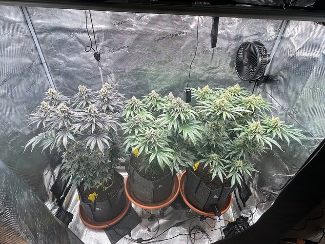 Growreport Bild 21