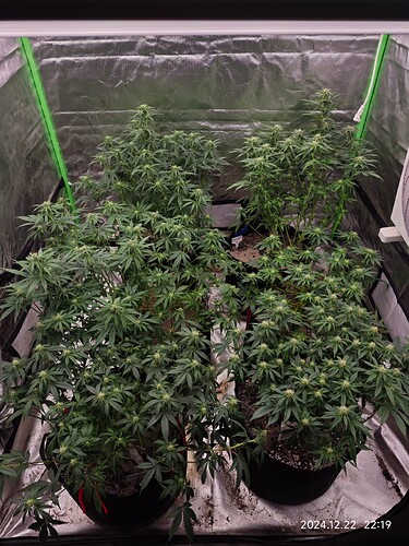 Growreport Bild 16
