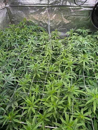 Growreport Bild 14
