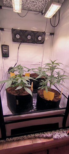 Growreport Bild 3