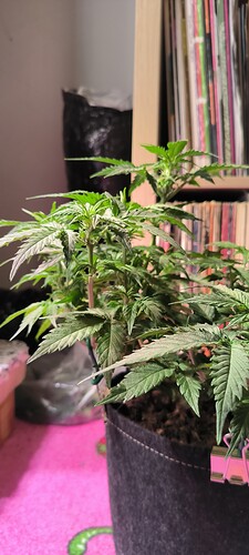 Growreport Bild 5