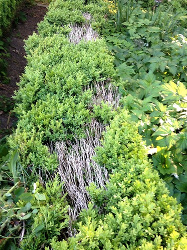 Grow25_0520_08