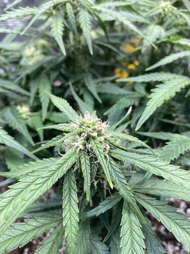 Growreport Bild 24