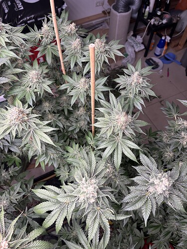 Growreport Bild 10