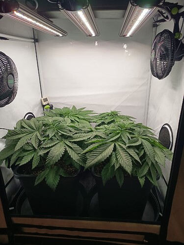 Growreport Bild 10