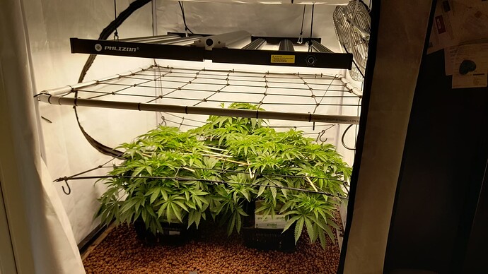 Growreport Bild 23