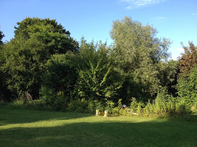 Growreport Bild 6