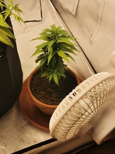 Growreport Bild 3