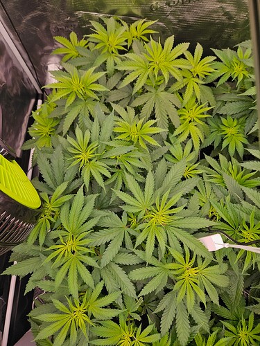 Growreport Bild 21