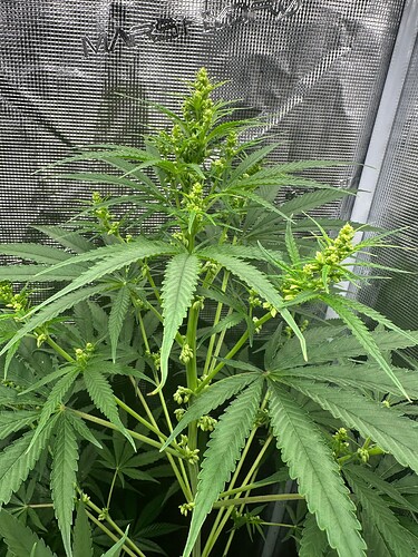 Growreport Bild 2