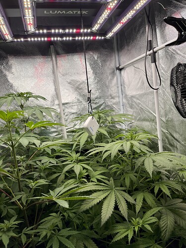 Growreport Bild 2