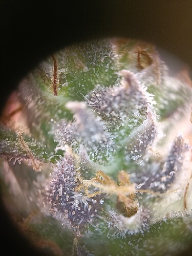 Growreport Bild 17