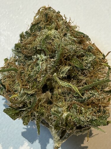 Growreport Bild 62