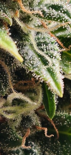 Growreport Bild 11