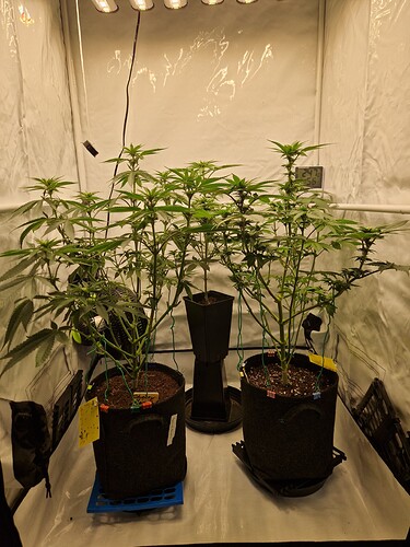 Growreport Bild 18