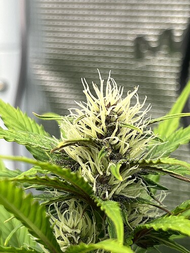 Growreport Bild 17