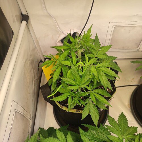 Growreport Bild 10