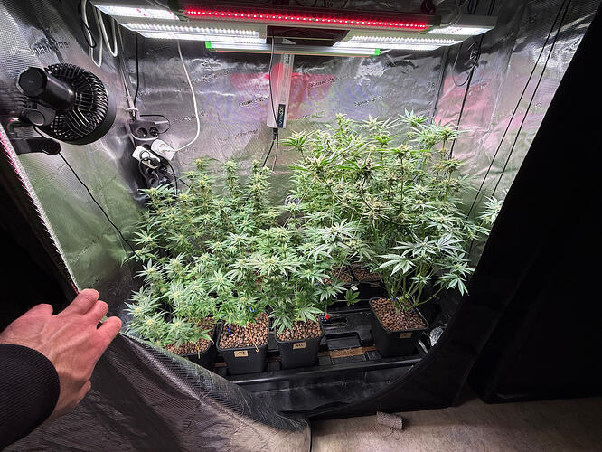 Growreport Bild 22