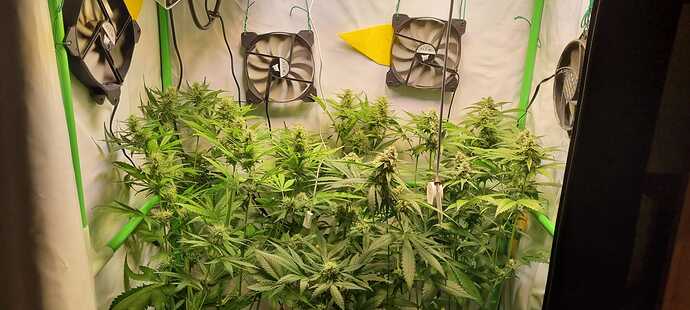 Growreport Bild 7