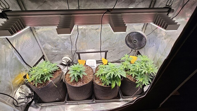 Growreport Bild 9