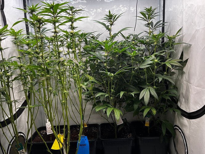 Growreport Bild 2